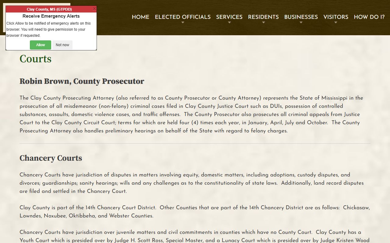 Clay County courts landing page listing the local court system